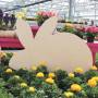 2025-04_pressebild_priener_gutschein_ostern_c-markt_prien_a._chiemsee.jpg