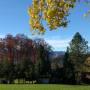 altenbeuern.jpg