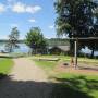 am_hartsee.jpg