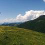 am_schacher.jpg