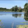 bansee0.jpg