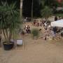 beachbar.jpg
