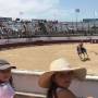 camargue.jpg