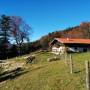 chiemhauseralm1.jpg