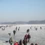chiemsee_zugefroren2.jpg
