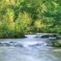 flusslandschaft_ghirardini.jpg