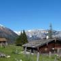grubenalm.jpg