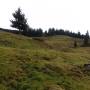 hemmersuppenalm_2.jpg