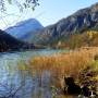 herbstlicher_thumsee.jpg