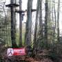 kletterwald.jpg