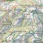 lochnerhorn.jpg