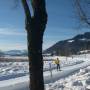 loipe_walchsee.jpg