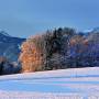 mayall_winter_d14031.jpg