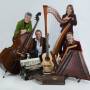 pressefoto_cse_2_c-chiemgauer_saitenensemble.jpg