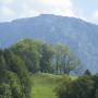 rauschberg7.jpg