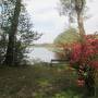 schlosssee.jpg