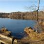 siferlingersee9.jpg