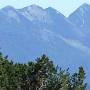 sonntagshorn_von_steinplatte.jpg