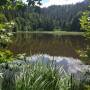 suttensee.jpg