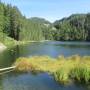 taubensee.jpg