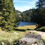 taubensee30.jpg