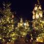 winterwald.jpg