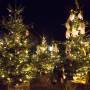 winterweihnachtswald.jpg